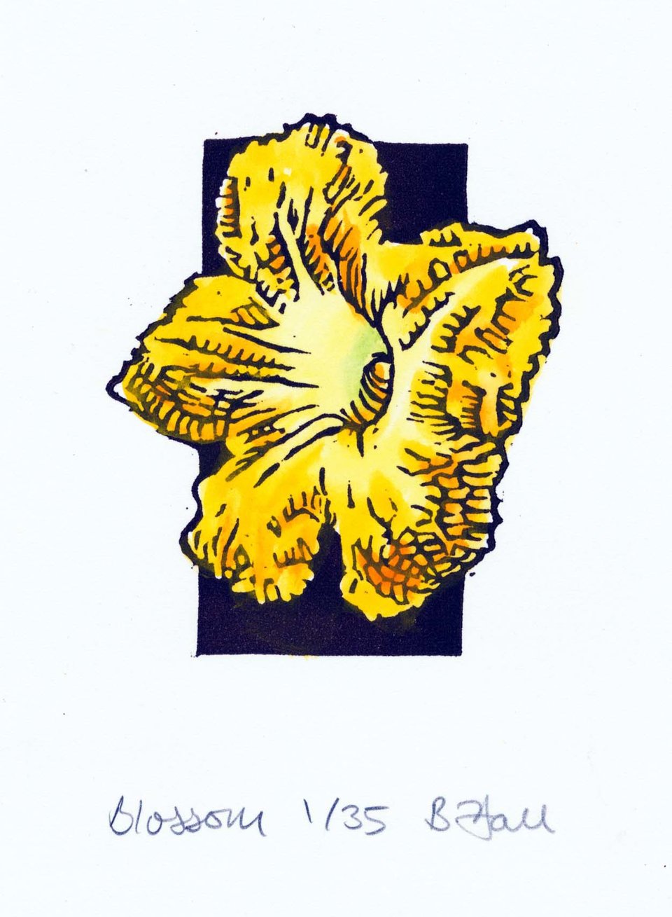 Debbie Halliday Gold Blossom Buds 額装アート Blossom